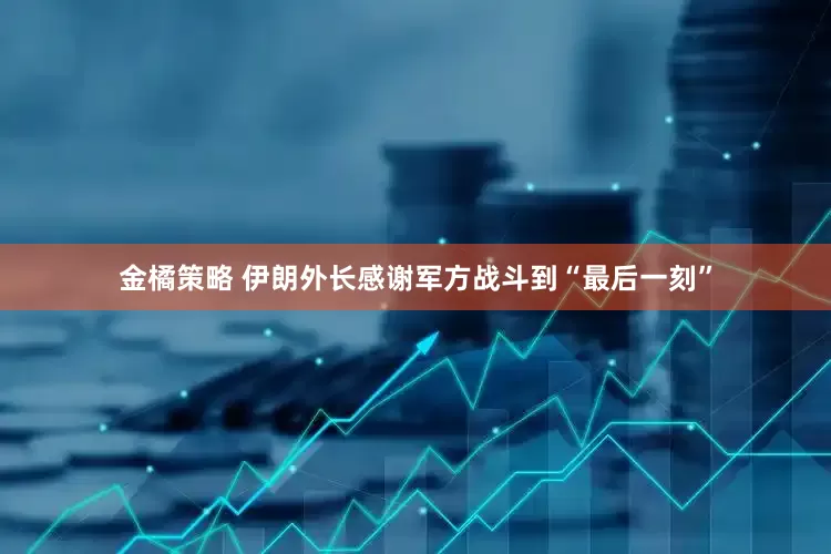 金橘策略 伊朗外长感谢军方战斗到“最后一刻”