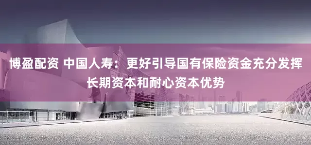 博盈配资 中国人寿：更好引导国有保险资金充分发挥长期资本和耐心资本优势