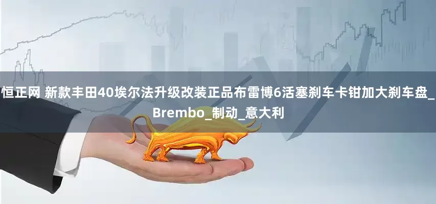 恒正网 新款丰田40埃尔法升级改装正品布雷博6活塞刹车卡钳加大刹车盘_Brembo_制动_意大利