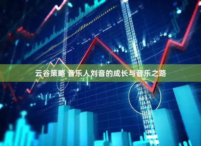 云谷策略 音乐人刘音的成长与音乐之路