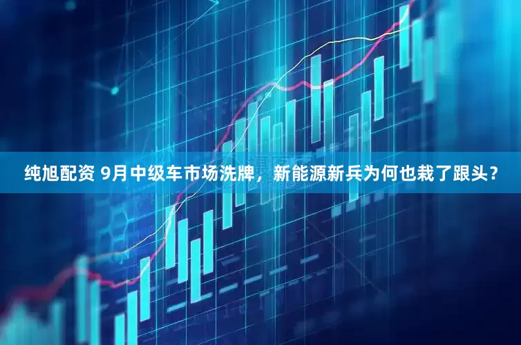 纯旭配资 9月中级车市场洗牌，新能源新兵为何也栽了跟头？