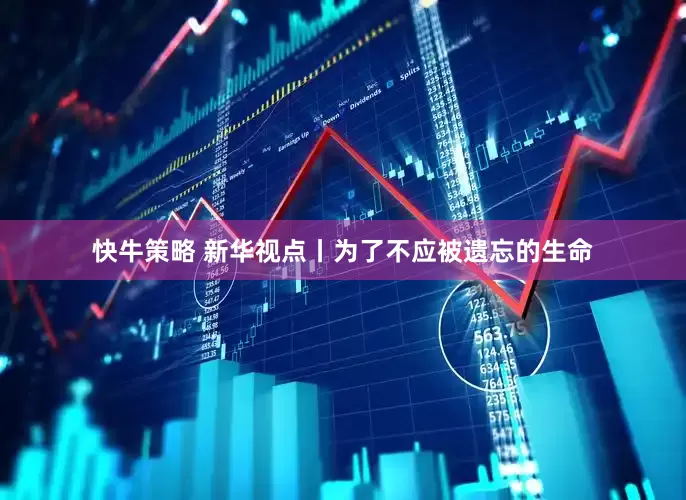 快牛策略 新华视点丨为了不应被遗忘的生命